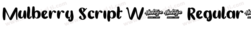 Mulberry Script W01 Regular字体转换